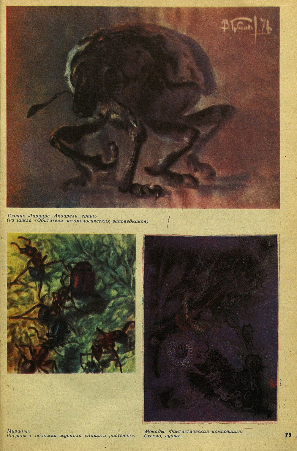 Дирижер энтомологического оркестра. Е. Бацылев. Детская литература, 1975, №9 (117), с.74-78. Фотокопия №2
