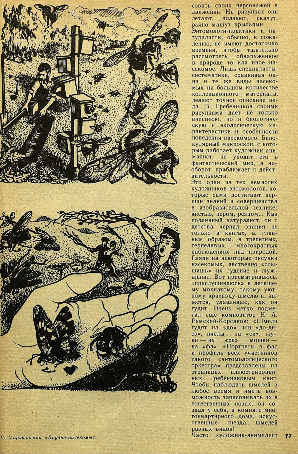 Дирижер энтомологического оркестра. Е. Бацылев. Детская литература, 1975, №9 (117), с.74-78. Фотокопия №4
