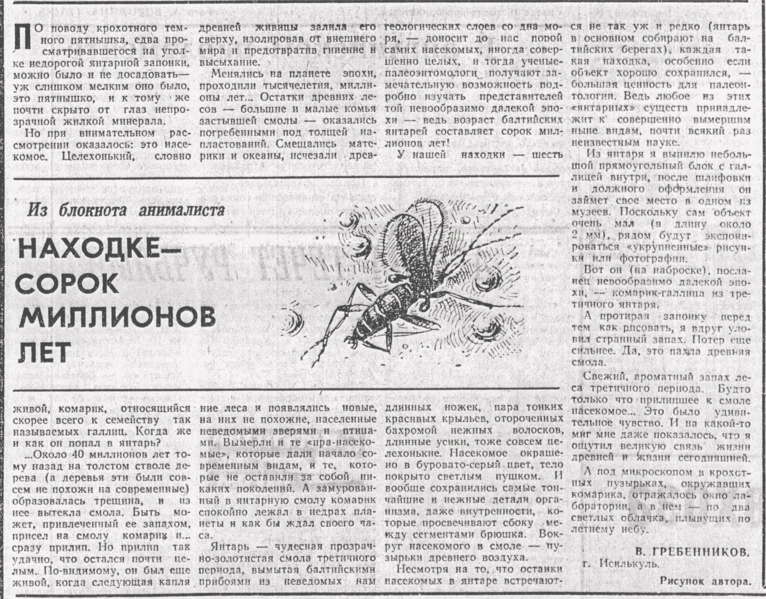 Находке — сорок миллионов лет. В.С. Гребенников. Омская правда, 12.07.1975. Фотокопия