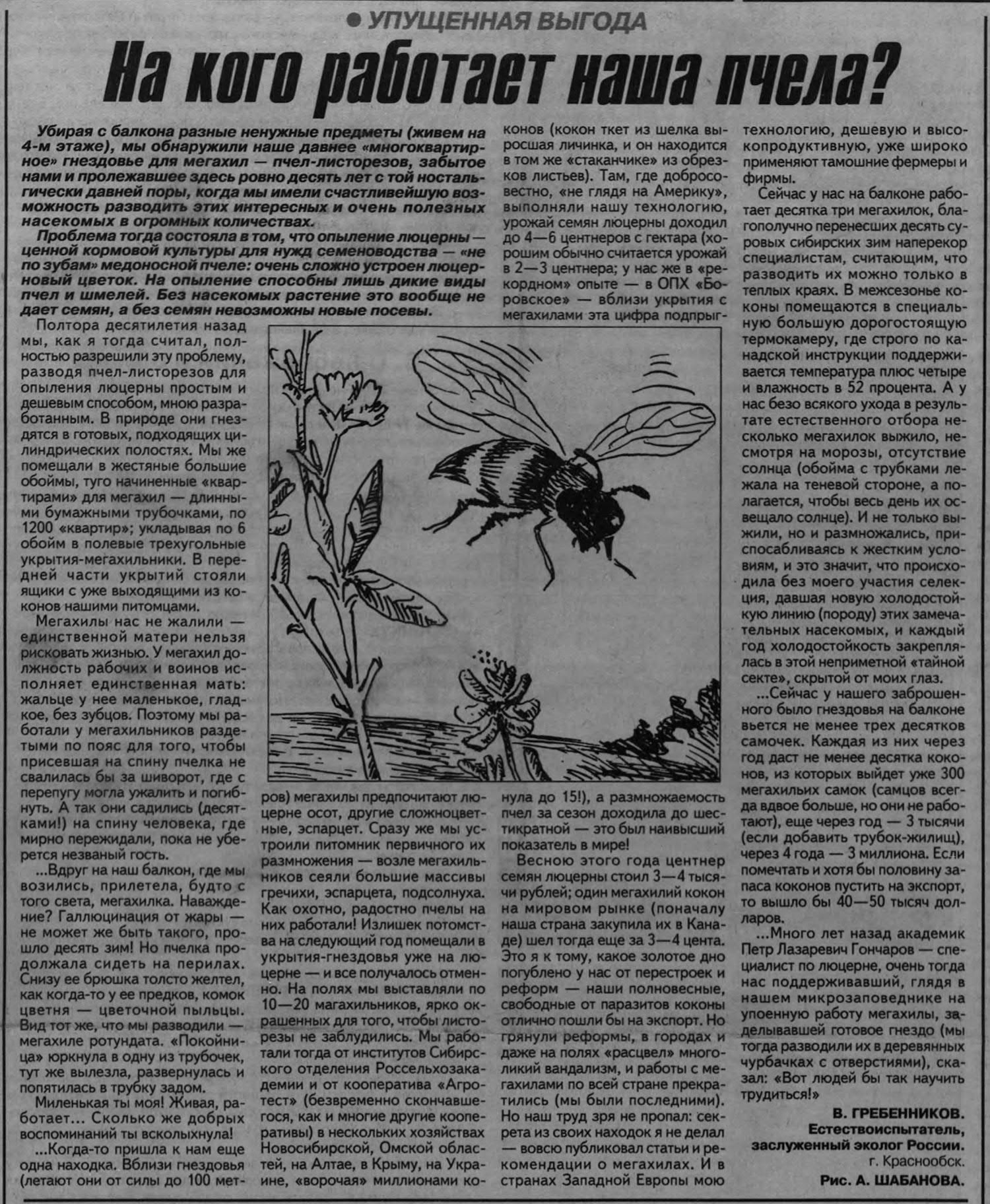 На кого работает наша пчела? В.С. Гребенников. Советская Сибирь (Новосибирск), 29.07.1999, №138 (23495), с.1. Фотокопия