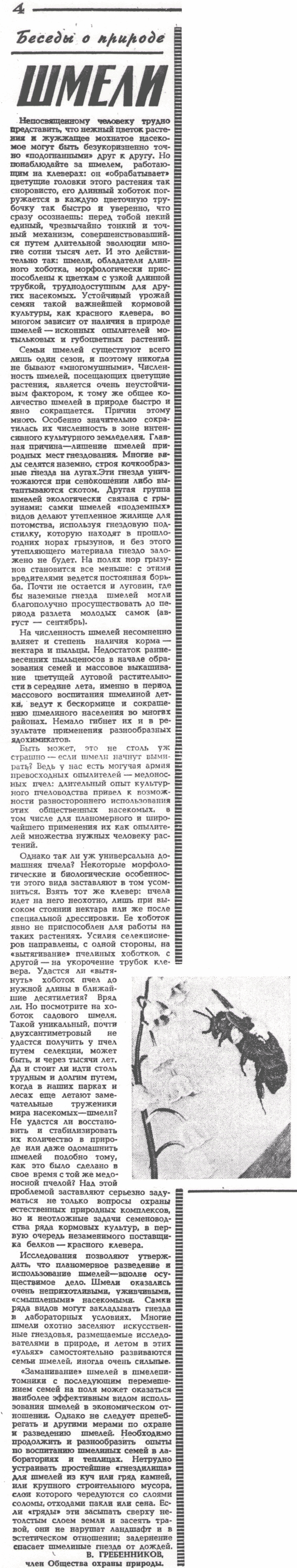 Шмели. В.С. Гребенников. Сельская жизнь, 04.06.1972, с.4. Фотокопия