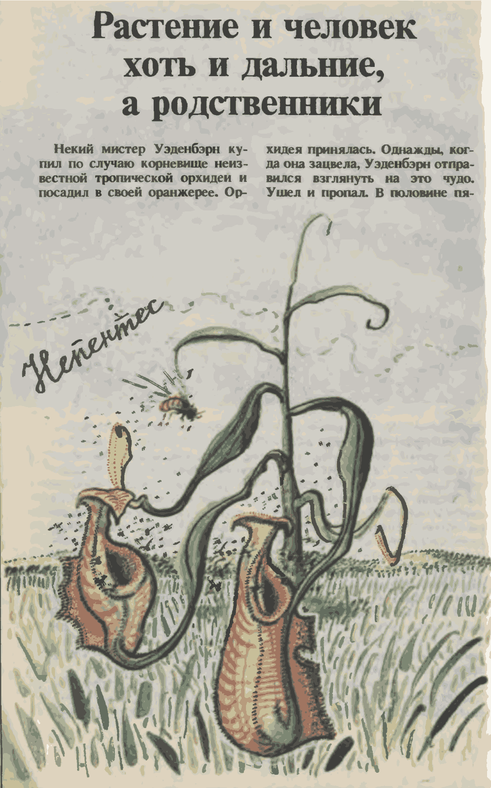 Растения и человек хоть и дальние, а родственники. О. Семенов. Юный техник, 1993, №3, с.14-19. Фотокопия №1