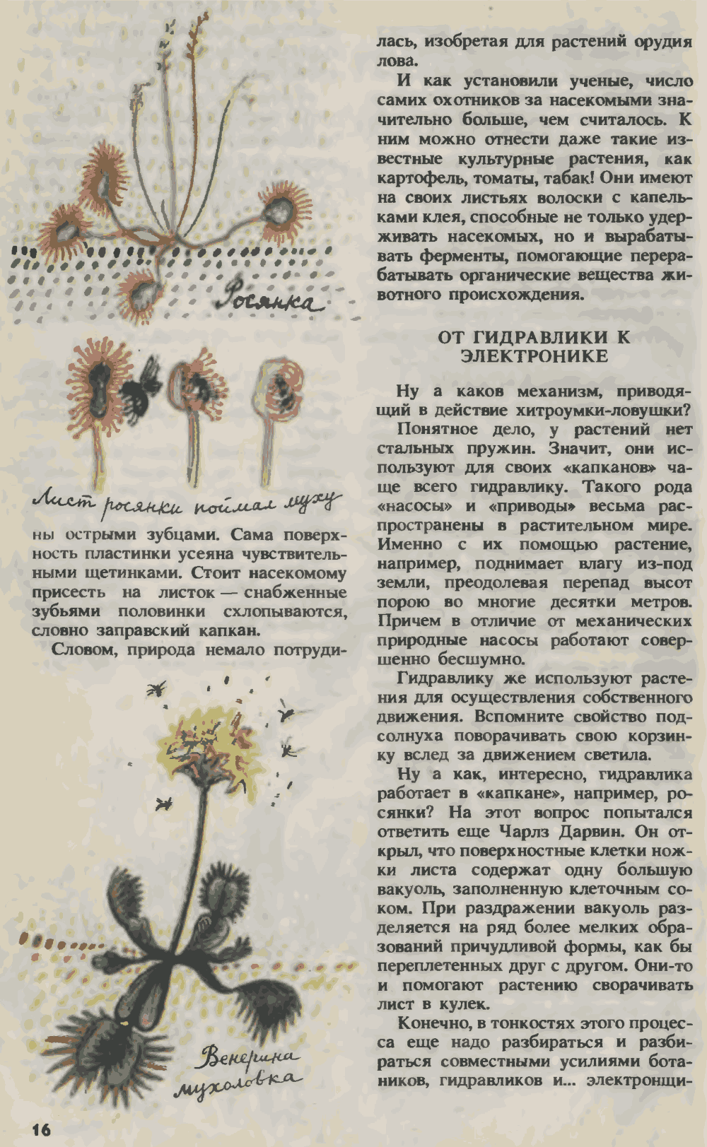 Растения и человек хоть и дальние, а родственники. О. Семенов. Юный техник, 1993, №3, с.14-19. Фотокопия №3