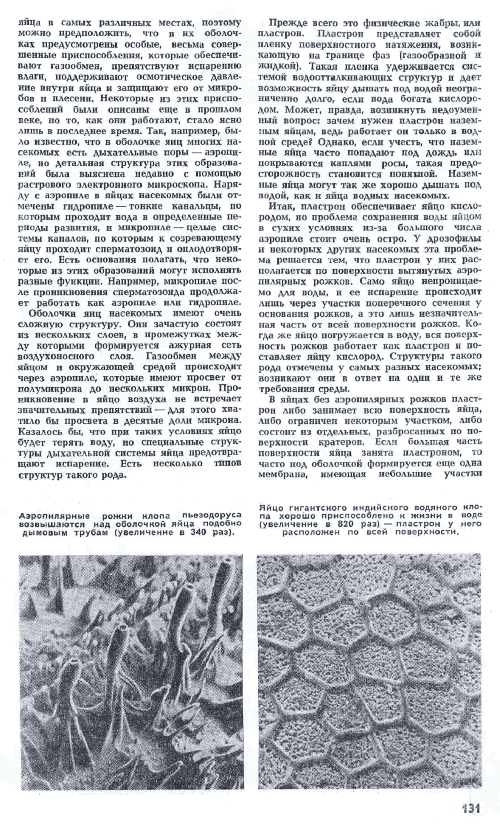 Маленькие секреты насекомых. Ю. Захваткин. Наука и жизнь, 1972, №5, с.130-133. Фотокопия №2