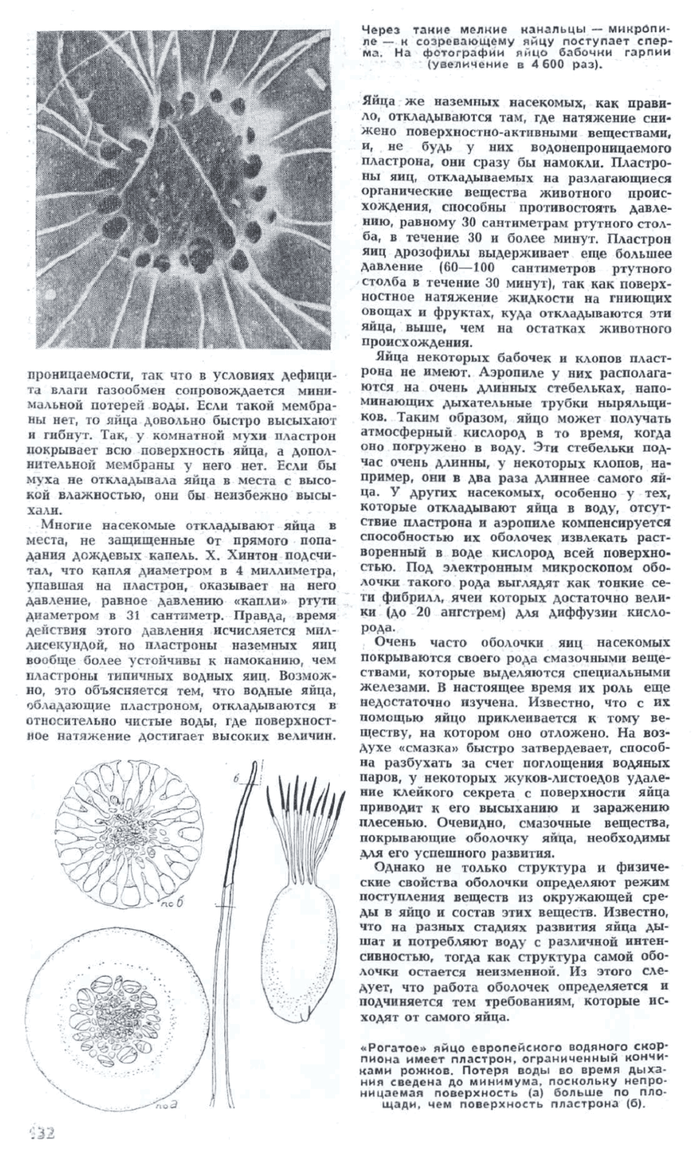 Маленькие секреты насекомых. Ю. Захваткин. Наука и жизнь, 1972, №5, с.130-133. Фотокопия №3