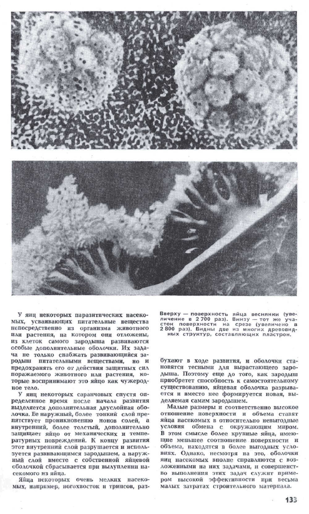 Маленькие секреты насекомых. Ю. Захваткин. Наука и жизнь, 1972, №5, с.130-133. Фотокопия №4