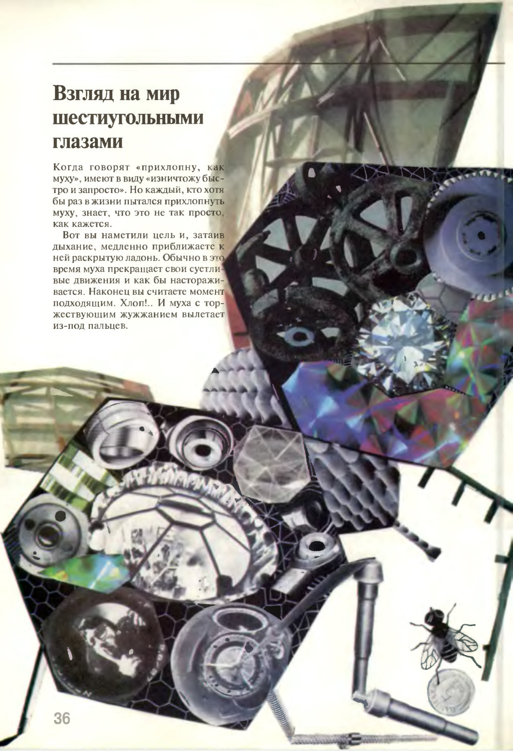 Взгляд на мир шестиугольными глазами. В.Г. Митрофанов. Химия и жизнь, 1995, №5, с.36-41. Фотокопия №1