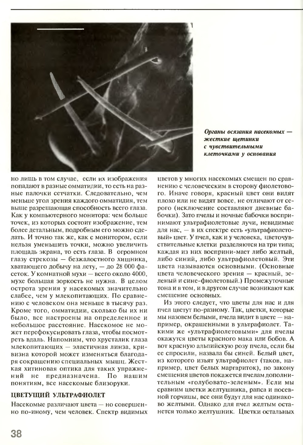 Взгляд на мир шестиугольными глазами. В.Г. Митрофанов. Химия и жизнь, 1995, №5, с.36-41. Фотокопия №3