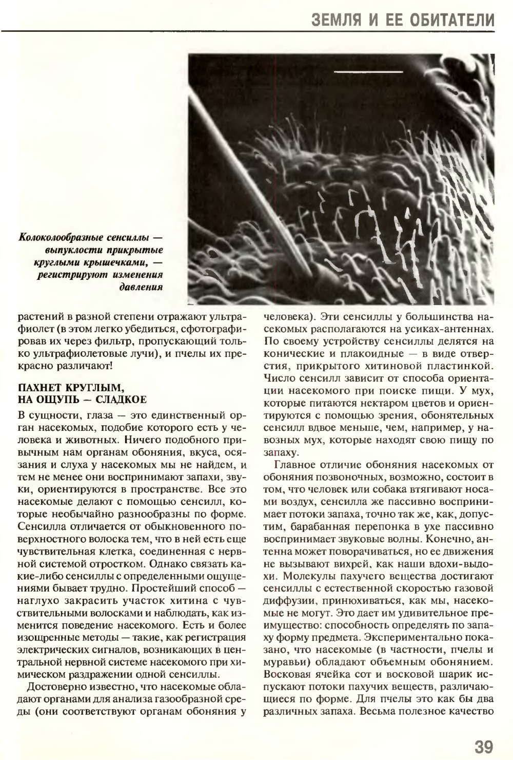 Взгляд на мир шестиугольными глазами. В.Г. Митрофанов. Химия и жизнь, 1995, №5, с.36-41. Фотокопия №4
