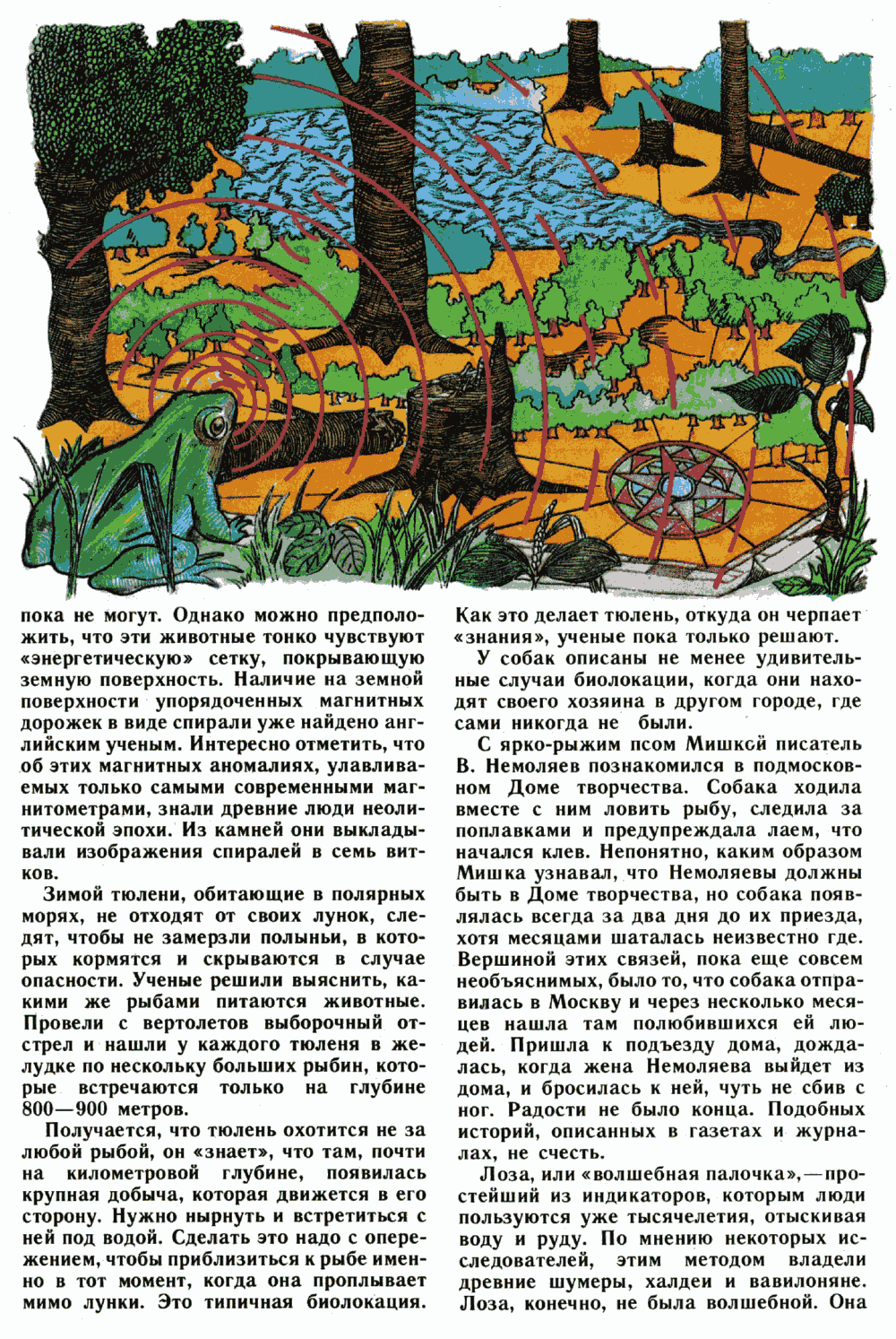 Загадки биолокации. Ю. Симаков. Юный натуралист, 1989, №1, с.12-15. Фотокопия №2