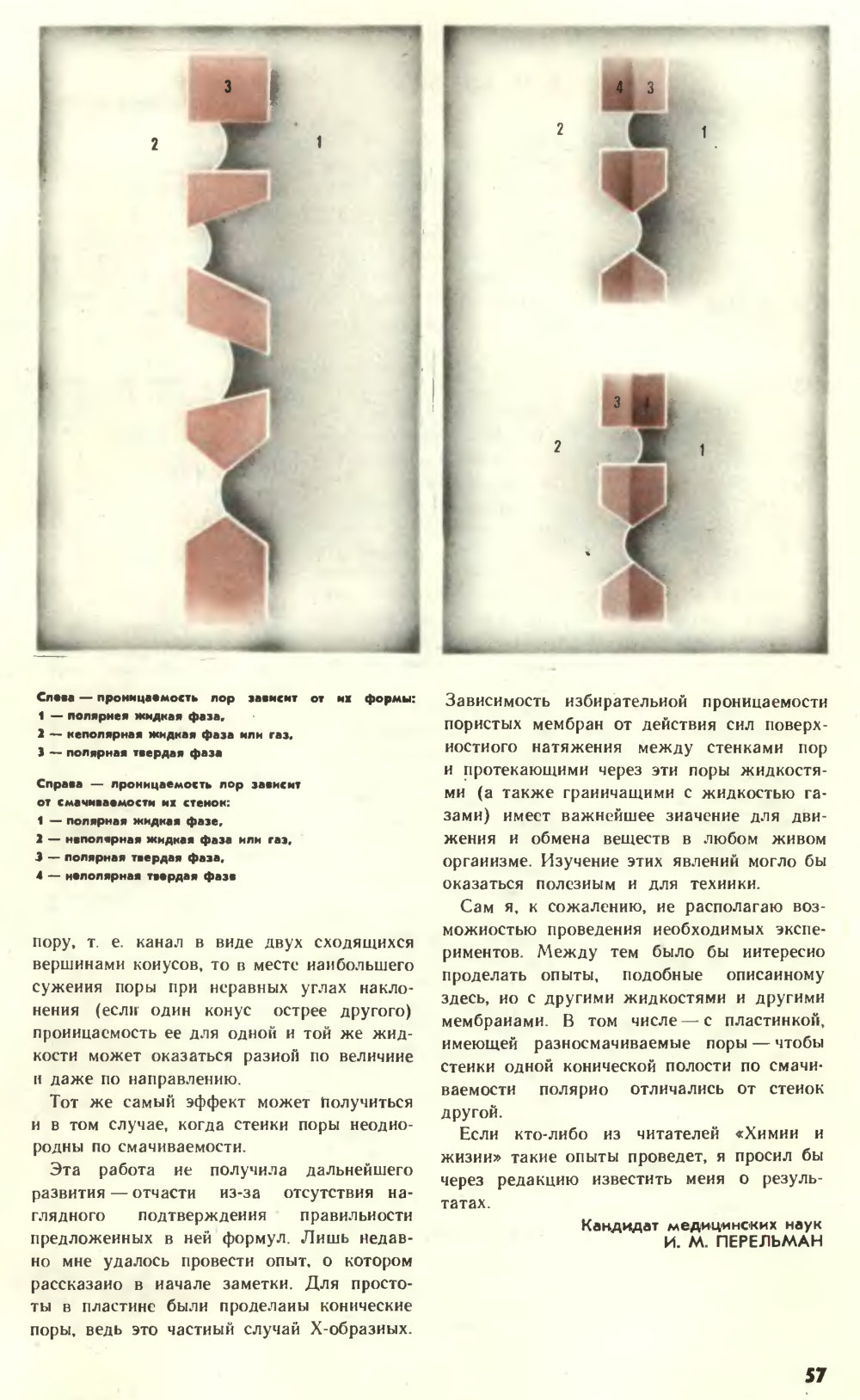 Строптивая вода. И.М. Перельман. Химия и жизнь, 1977, №12, с.56-57. Фотокопия №2
