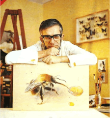 В.С. Гребенников с акварелью <q>Шмель у капли меда</q>. Фото Юрия Лушина, 1977 г.