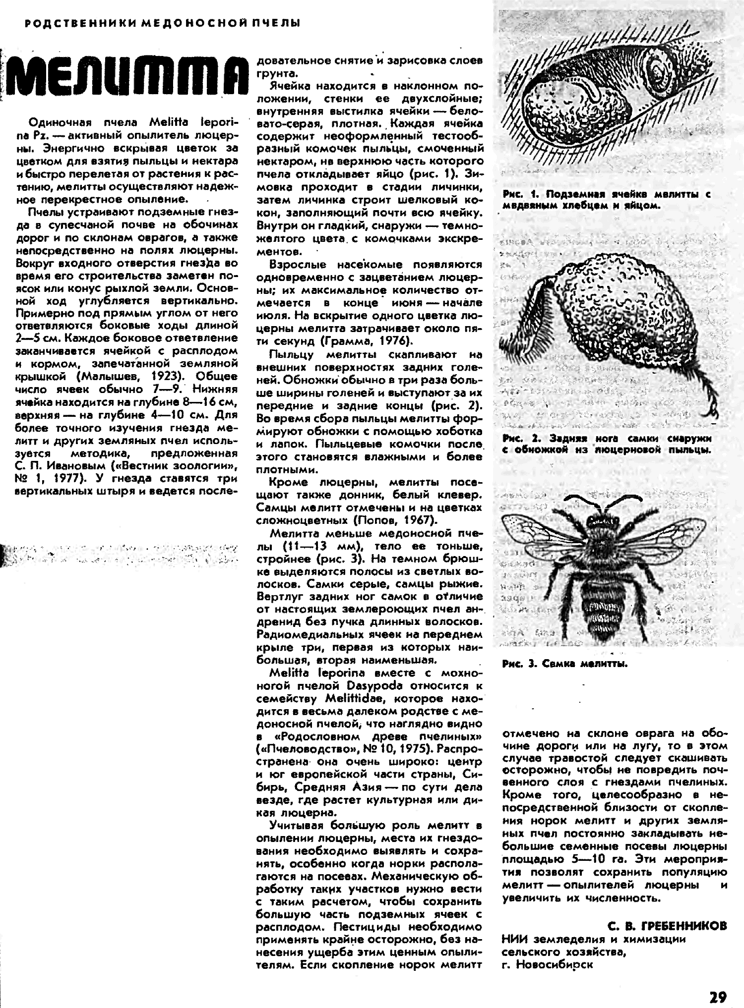 Мелитта. С.В. Гребенников. Пчеловодство, 1982, №3, с.29. Фотокопия