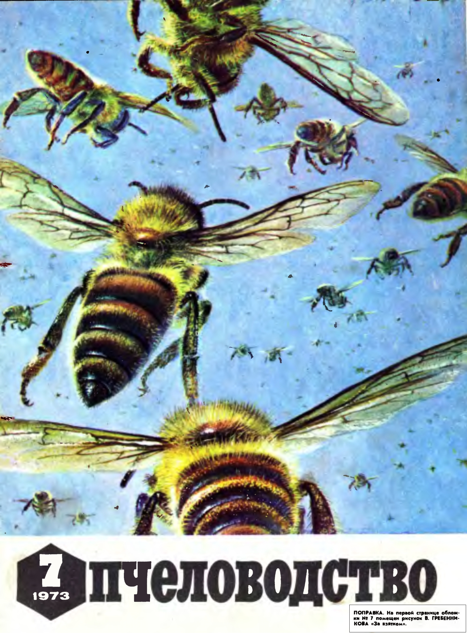 За взятком. Рисунок В.С. Гребенникова. Пчеловодство, 1973, №7, обложка. Фотокопия