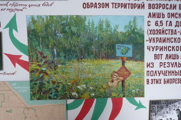 Портрет внука Андрея на фоне Энтомологического заказника на полях совхоза <q>Лесной</q>