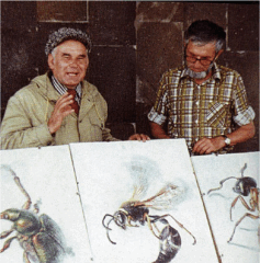 В.М. Песков и В.С. Гребенников, 1984 г.