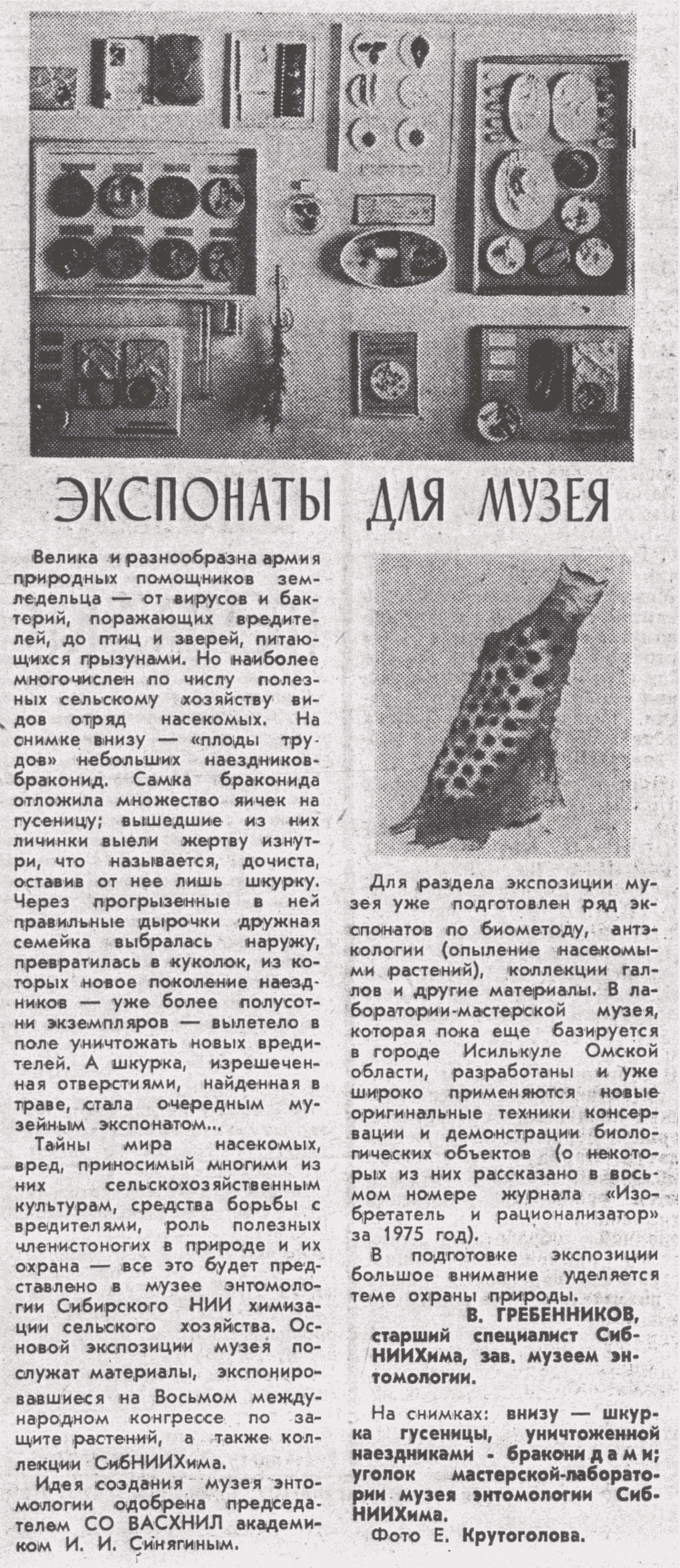 Скан/Scan