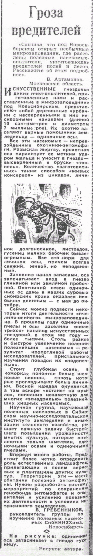 Скан/Scan