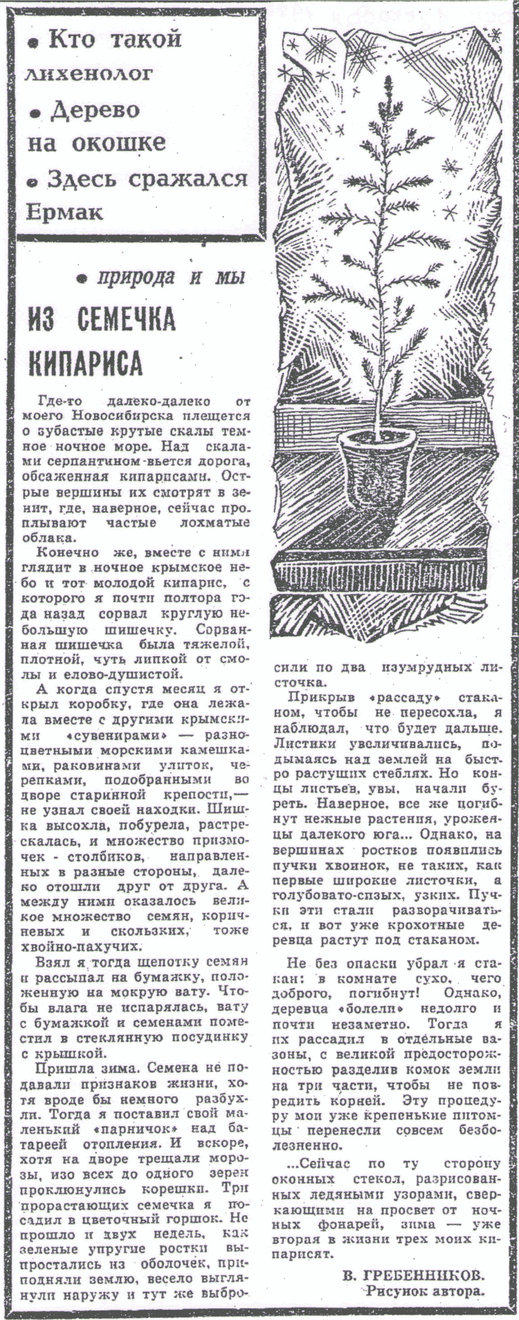 Скан/Scan