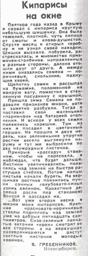 Скан/Scan