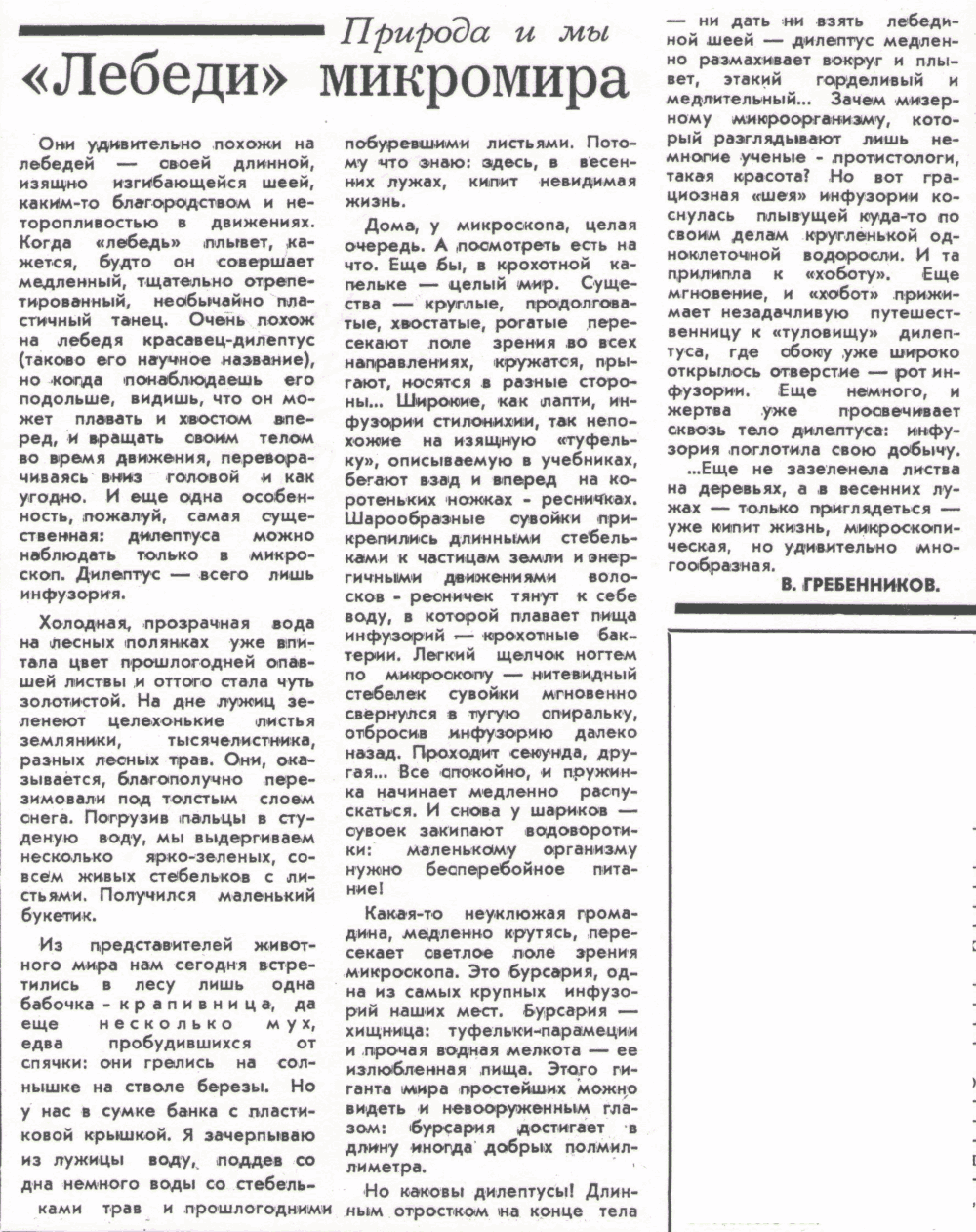 Скан/Scan