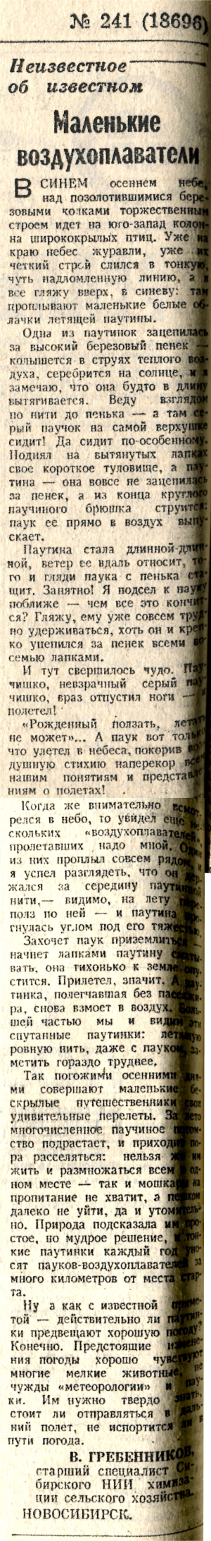 Скан/Scan