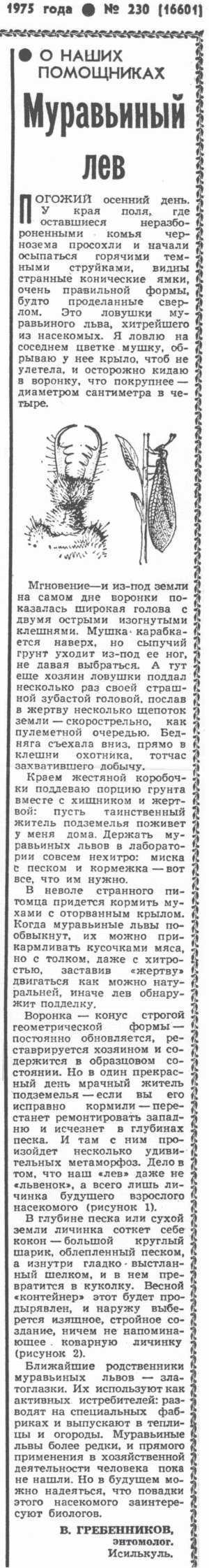 Скан/Scan