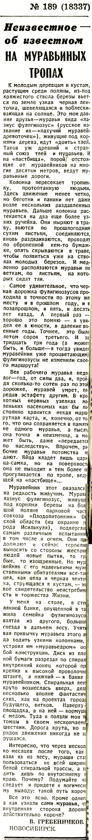 Скан/Scan