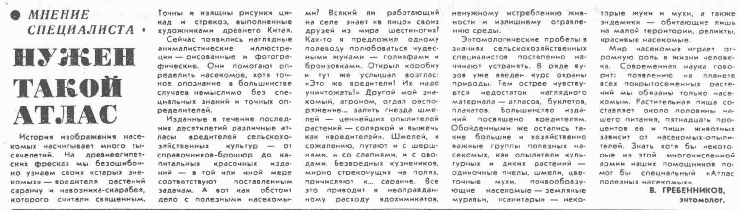 Скан/Scan
