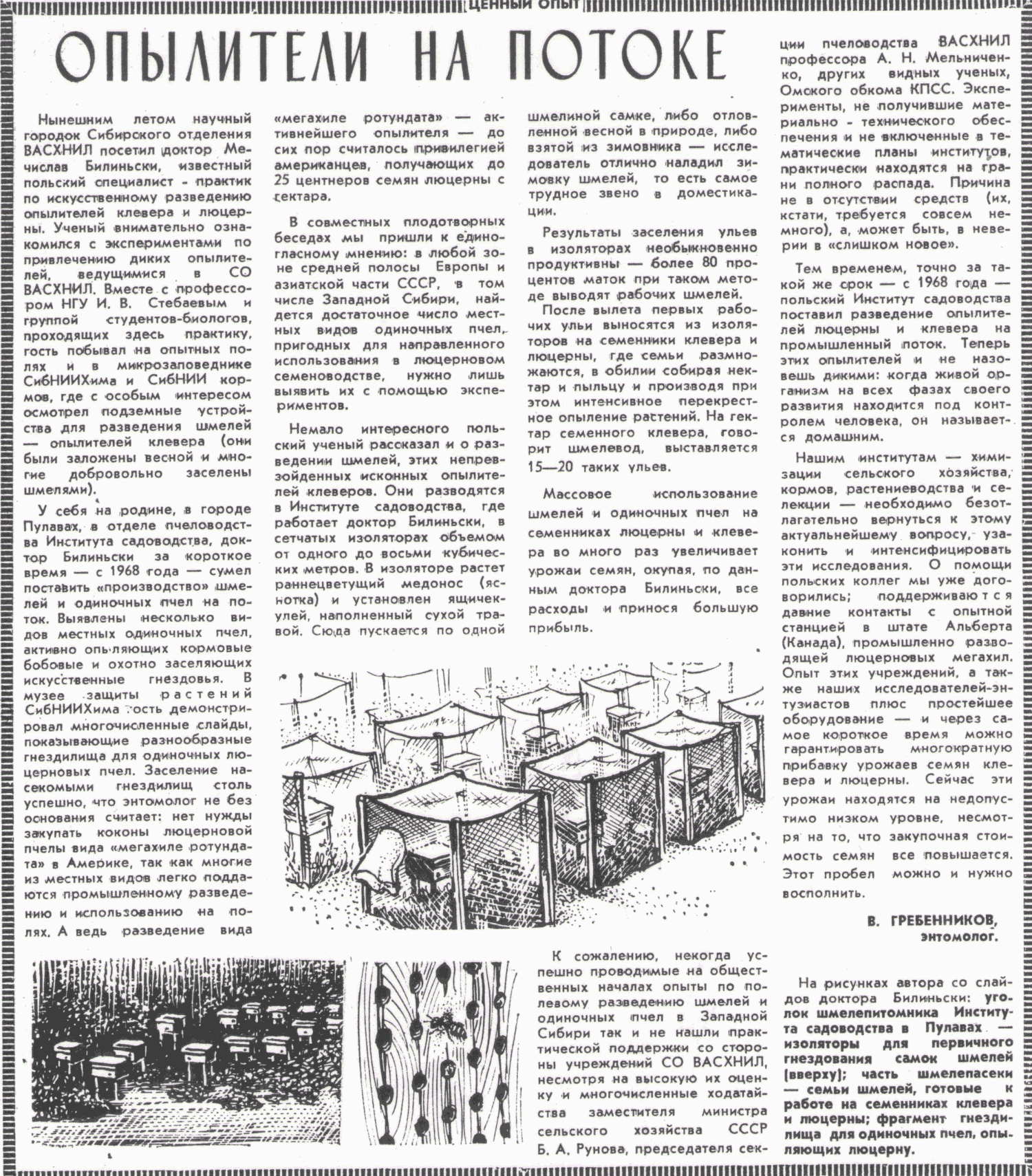 Скан/Scan