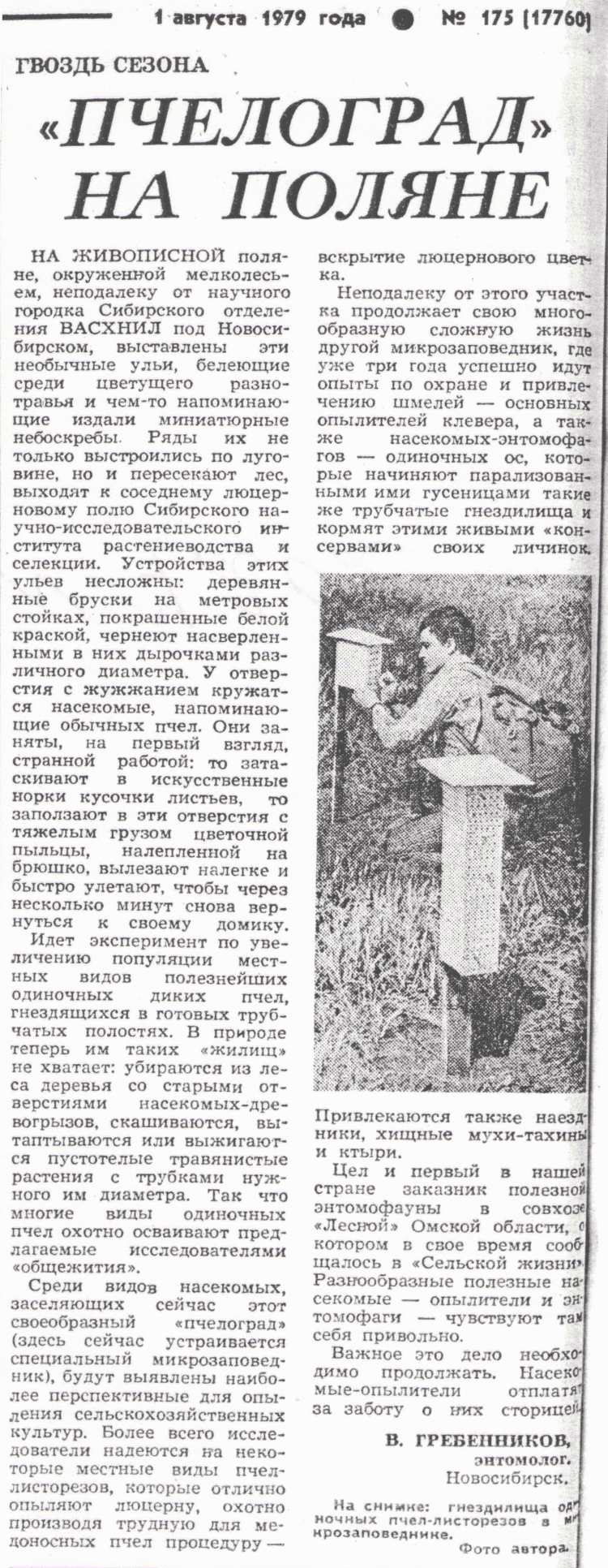 Скан/Scan