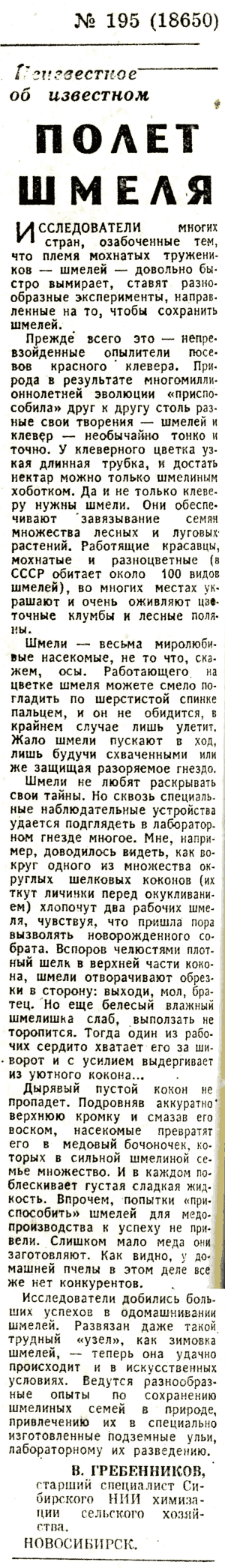 Скан/Scan