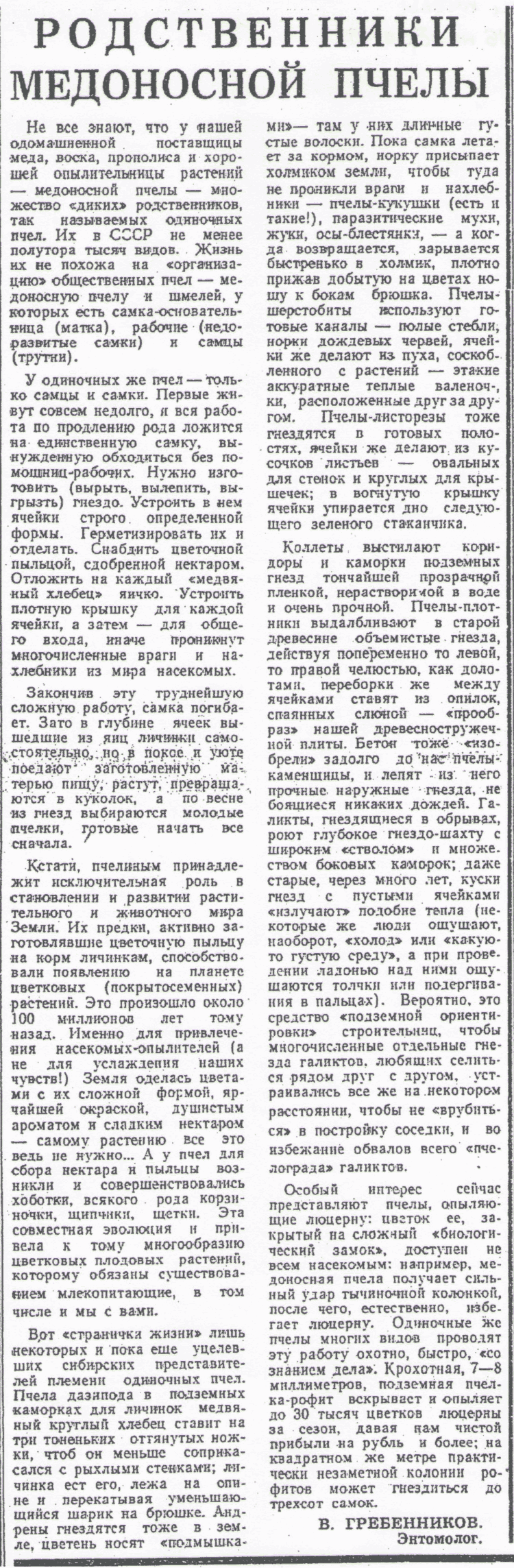 Скан/Scan