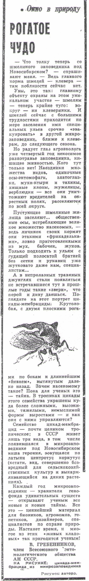 Скан/Scan