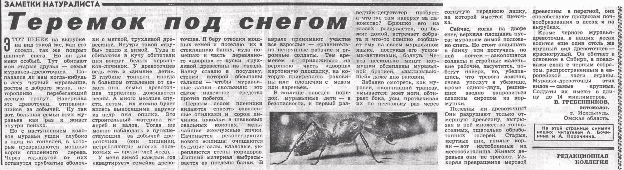 Скан/Scan