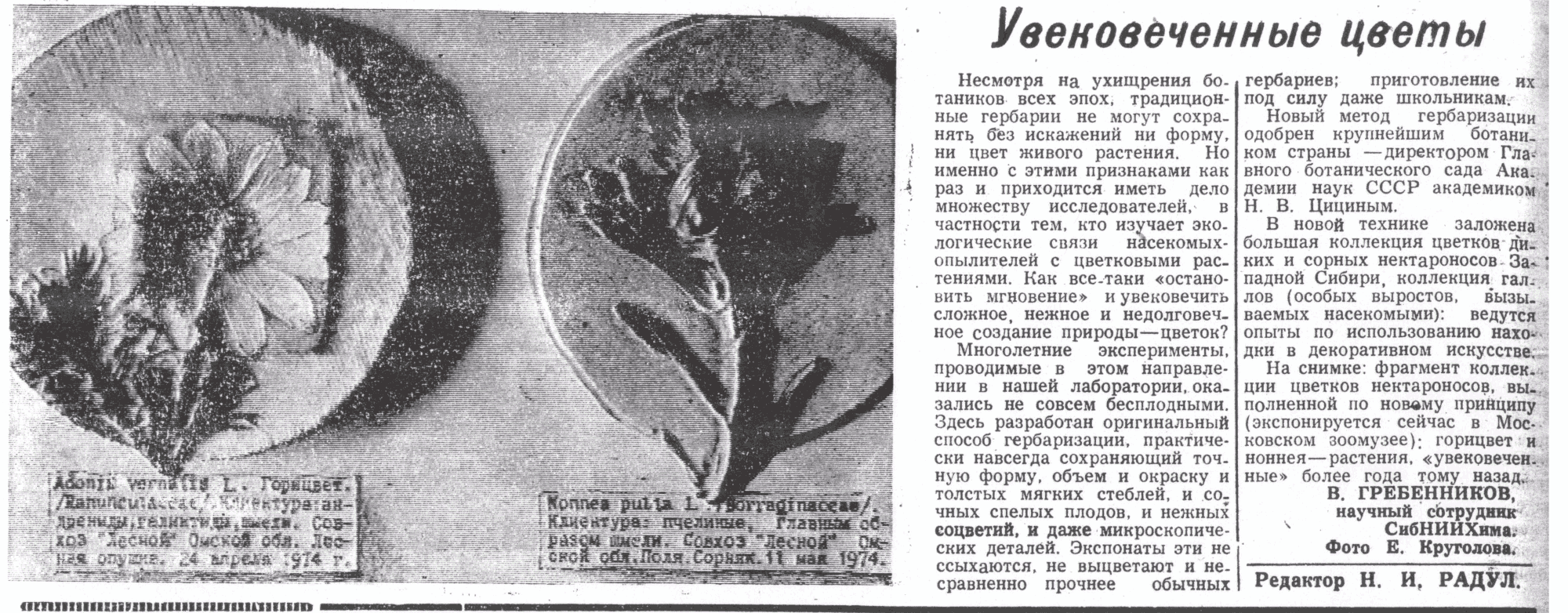 Скан/Scan
