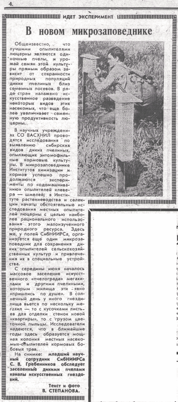 Скан/Scan