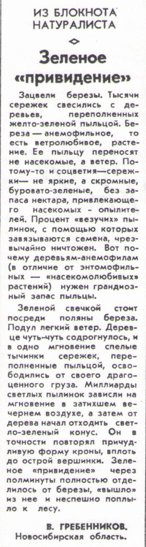 Скан/Scan