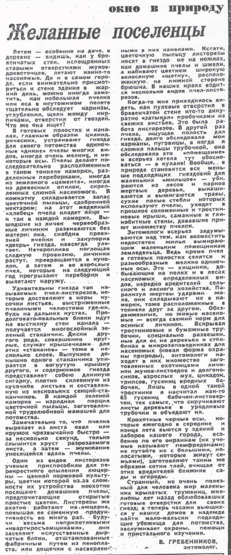 Скан/Scan