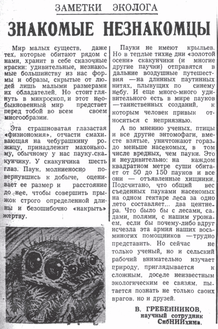 Скан/Scan