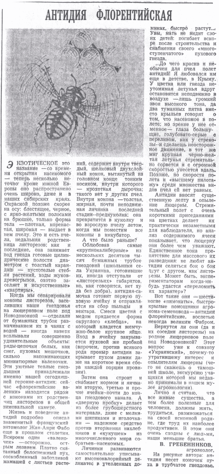 Скан/Scan