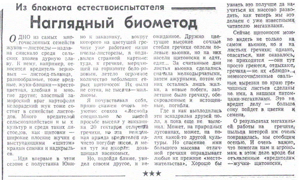Скан/Scan