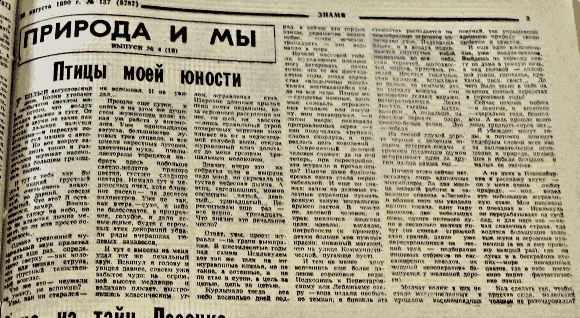 Скан/Scan
