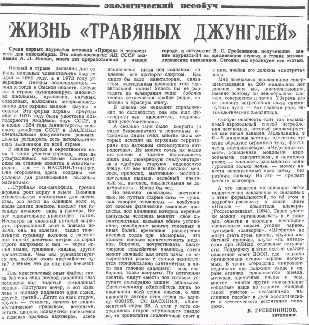 Скан/Scan