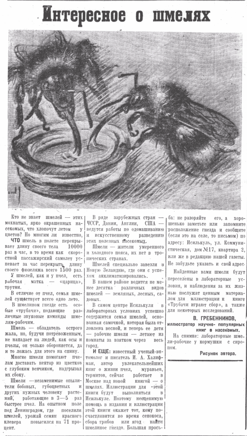 Скан/Scan