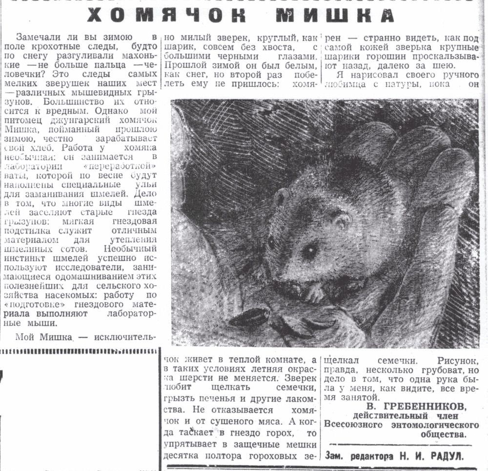 Скан/Scan