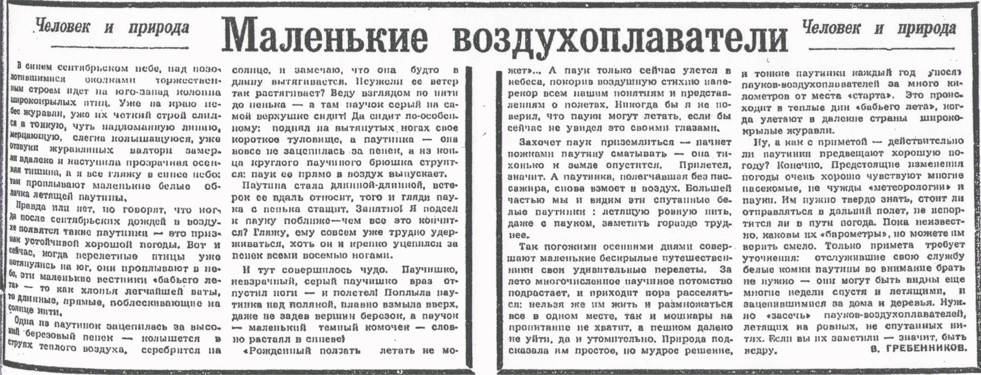 Скан/Scan