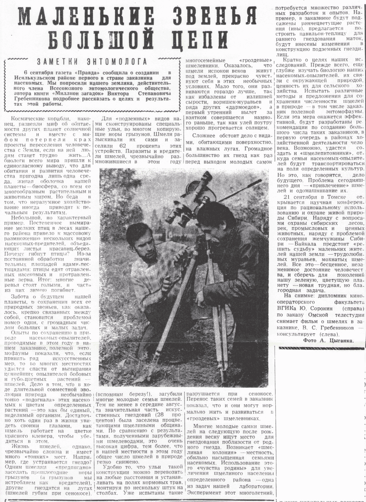 Скан/Scan