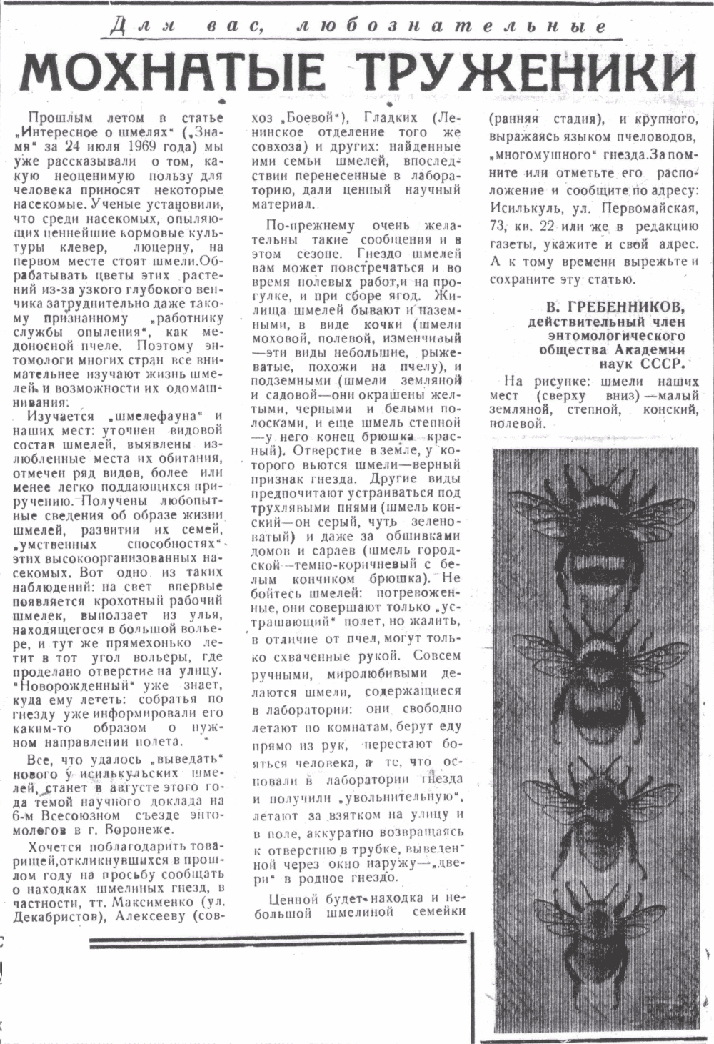 Скан/Scan