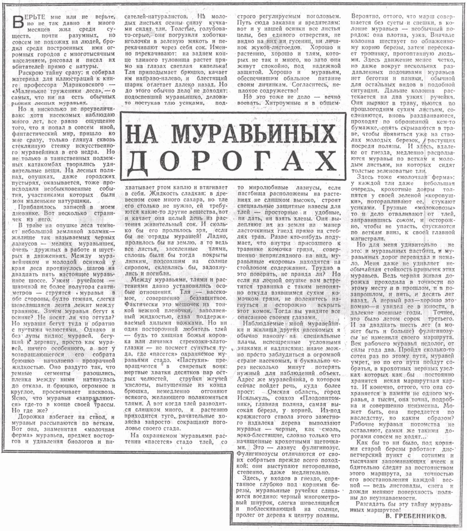 Скан/Scan